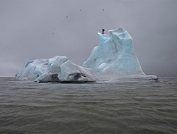 Art et environnement