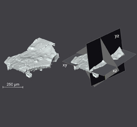 Synchrotron x-ray microtomography of paint samples. Exploratory studies