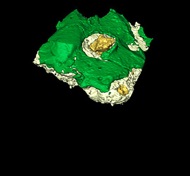 Case study: Formation of calcium soaps in paint layers