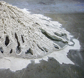 Interview mit Karin Lehmann