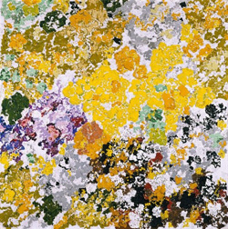 Augusto Giacometti. Catalogue raisonné der Gemälde, Wandbilder und Glasmalereien