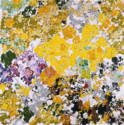 Augusto Giacometti. Catalogue raisonné der Gemälde, Wandbilder und Glasmalereien