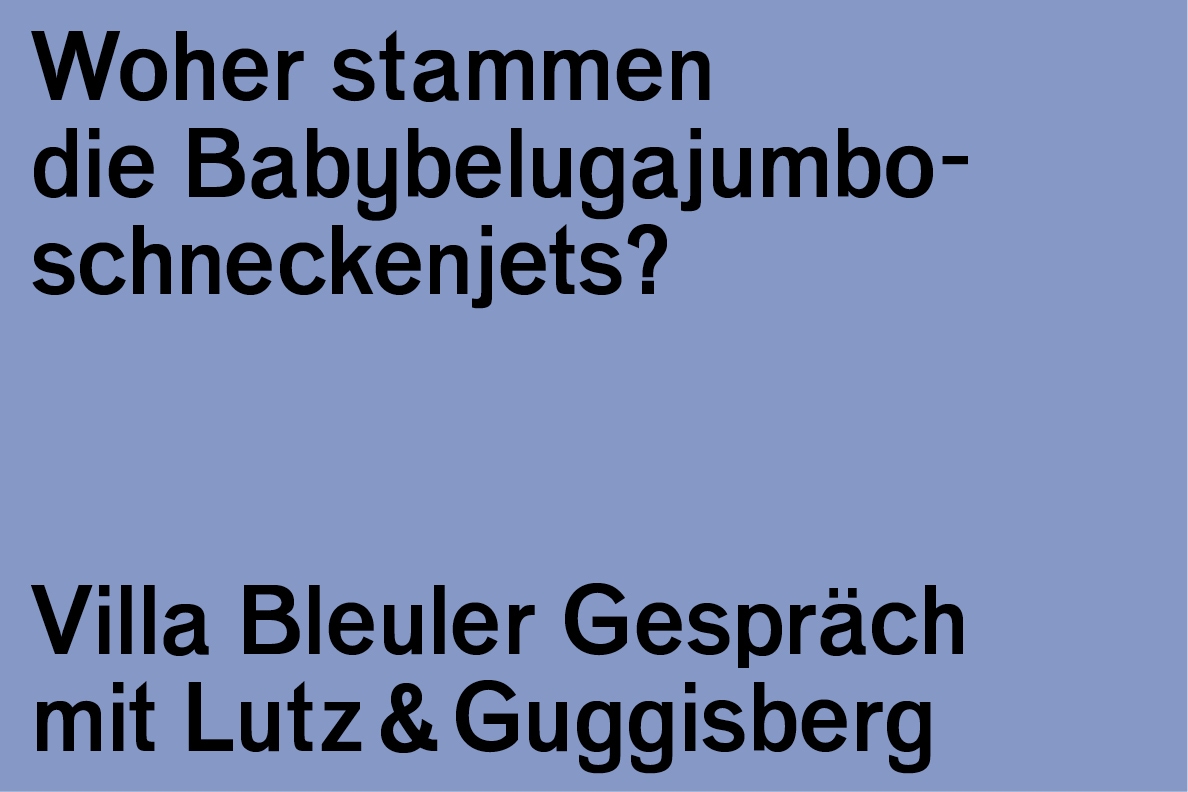 Villa Bleuler Gespräch: Lutz & Guggisberg